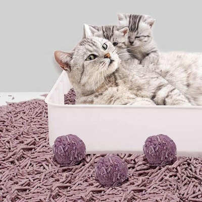 satın al Şerit Mor Lavanta Kedi Kumu Koku Kontrolü Yüksek Emicilik Kedi Kumu Lavanta Topaklanan online manufacture