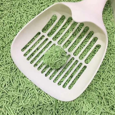 comprare Pulizia per animali domestici Lettera di tè verde Cat Litter Controllo dell'odore Foglie di tè flushable Lettera di tè per gatti online manufacture
