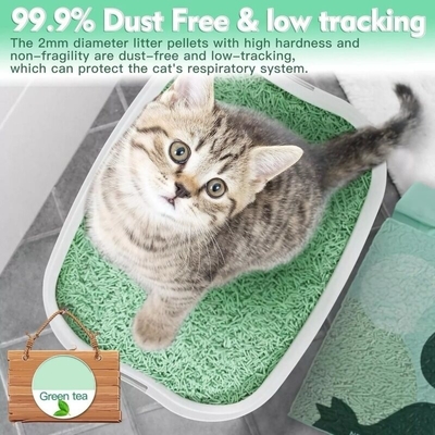 Buy Flushable Sustainable Organic Kitty Soybean Green Tea Clumping Cat Litter online manufacture