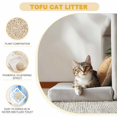 Buy Pure Plant Based Tofu Cat Litter Fast Clumping Water Soluble online manufacture