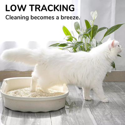 Buy OEM All Natural Clumping Cat Litter Clean Plant Degradable Tofu Cat Litter Strong Clumping online manufacture