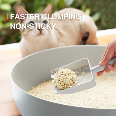 Buy ODM Natural Clumping Cat Litter Dust Free All Natural Cat Litter online manufacture
