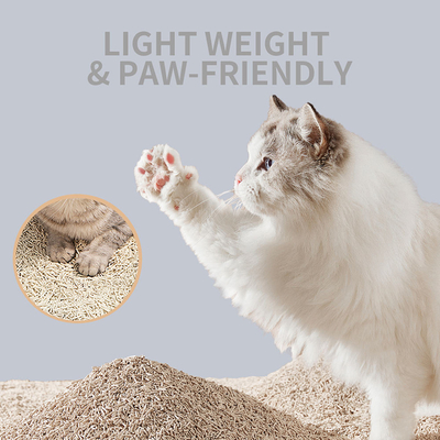 Buy Low Dust Clumping Tofu Cat Litter Accesorios Mascotas Natural Kitty Litter online manufacture