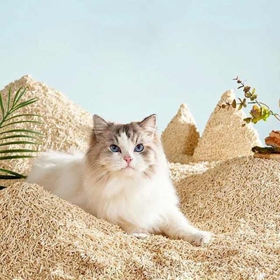 Buy Multi Fragrance Tofu Cat Litter Eco Biodegradable Tofu Cat Litter online manufacture