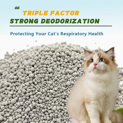 Buy Sustainable Spherical Bentonite Cat Litter Grey 100% Natural Clay Kitty Litter online manufacture