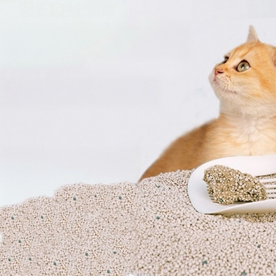 Buy OEM ODM Spherical Bentonite Cat Litter Sustainable Bentonite Cat Sand online manufacture