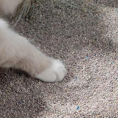 comprare Stringente raccoglimento di minerale Cat Litter 100 per cento libero da polvere Litter di minerale schiacciato innocuo online manufacture