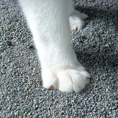kaufen Natrium-basiertes Erz-Katzenstreu, individuell anpassbar, 100 % natürlich, staubfreies Katzenstreu online manufacture