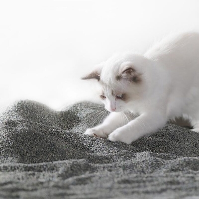 Buy Easy Scooping Ore Cat Litter Grey Dustless Kitty Litter Natural Materials online manufacture