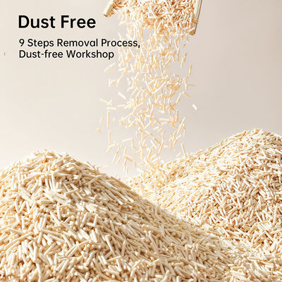 Beli Pengendalian Bau Tanaman Bebas Bubuk Pengumpul Bebas Bubuk Tofu Kotoran Kucing online manufacture